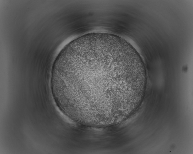 X0000092241245200710051232