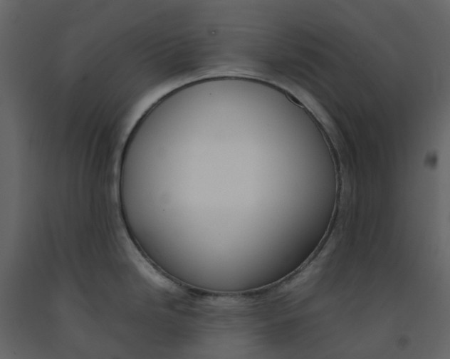 X0000092241246200710051232