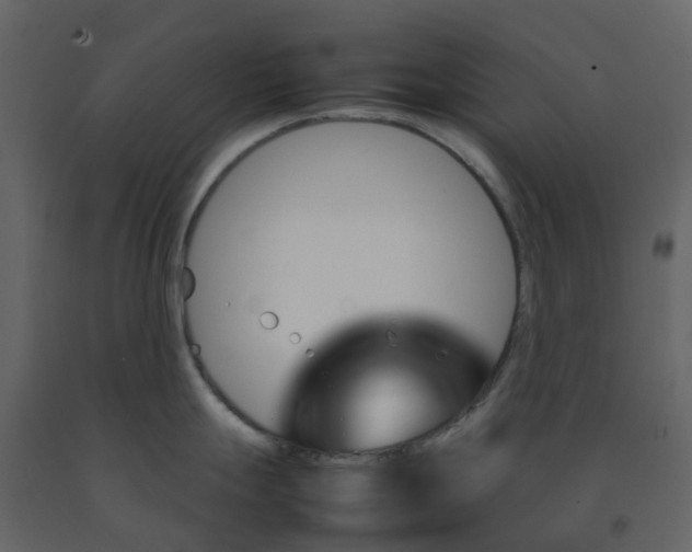 X0000092241247200710051232