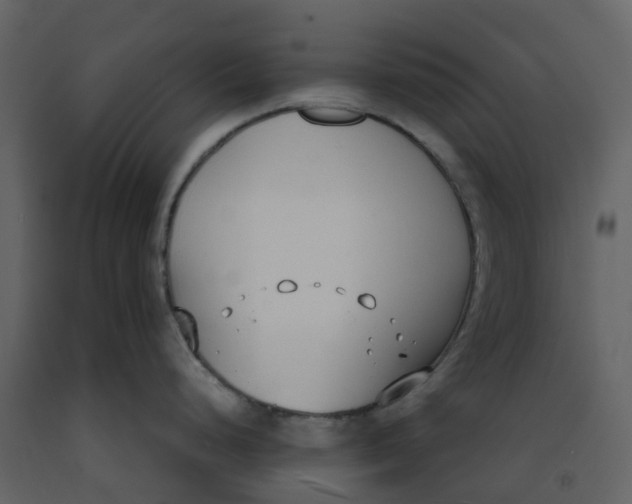 X0000092241248200710051232