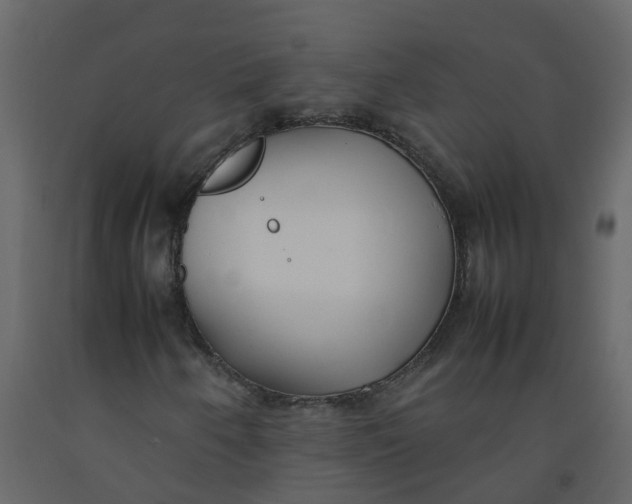 X0000092241250200710051232