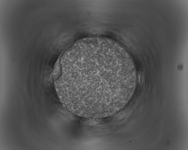 X0000092241251200710051232