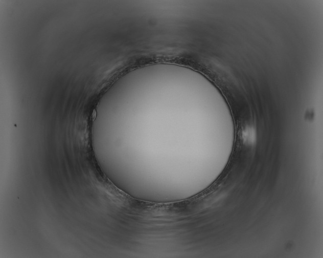 X0000092241252200710051232