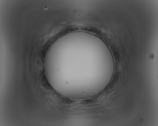 X0000092241253200710051232