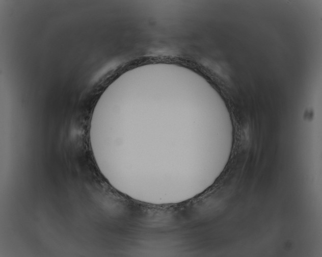 X0000092241254200710051232