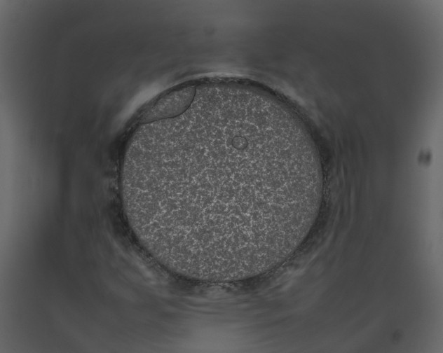 X0000092241255200710051232