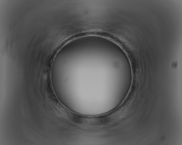 X0000092241257200710051232