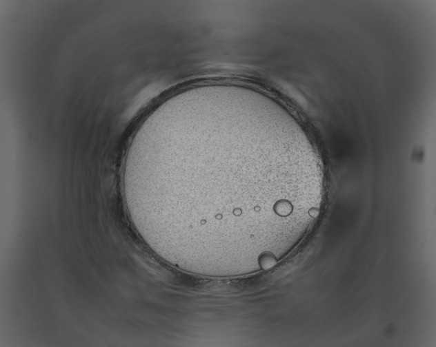 X0000092241259200710051232