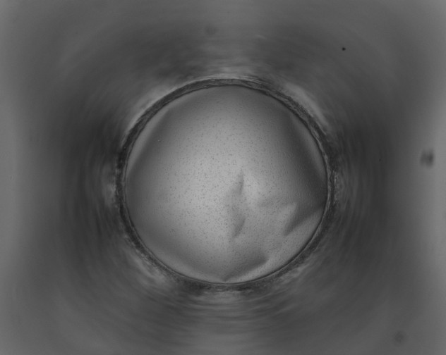 X0000092241260200710051232