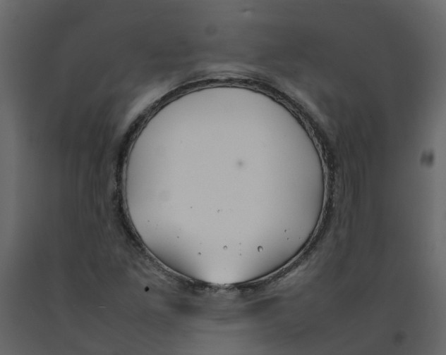 X0000092241261200710051232