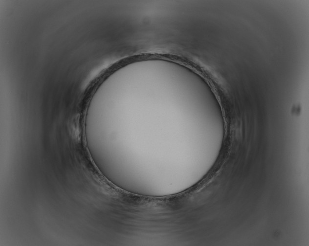 X0000092241262200710051232