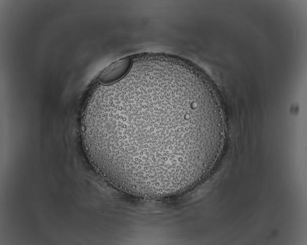 X0000092241263200710051232