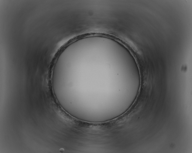 X0000092241264200710051231