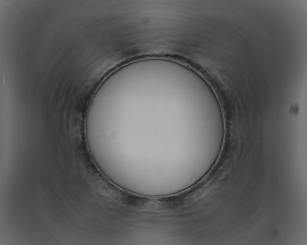 X0000092241265200710051231