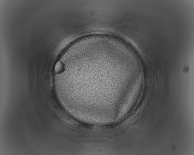 X0000092241267200710051231