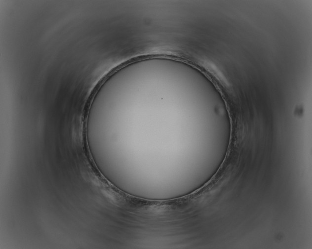 X0000092241268200710051231