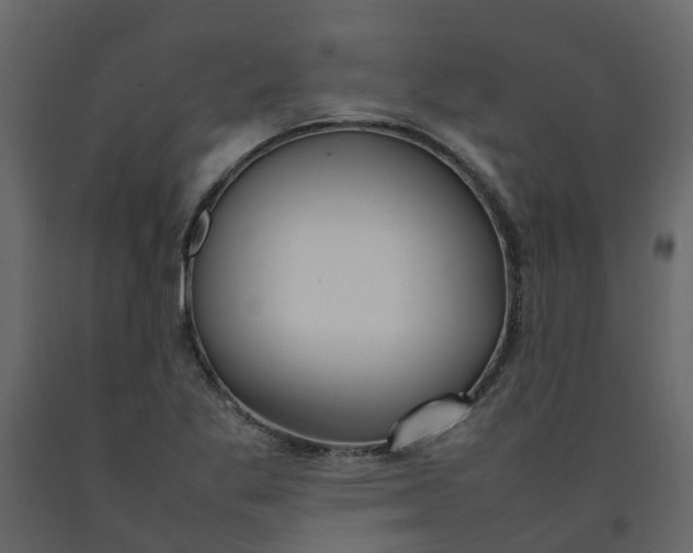 X0000092241269200710051231