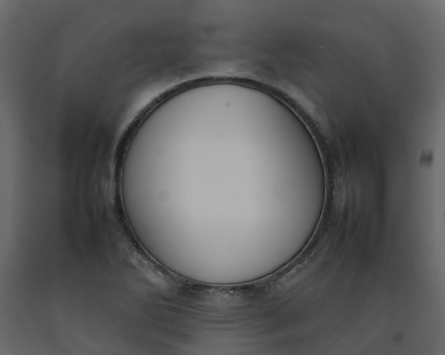 X0000092241270200710051231