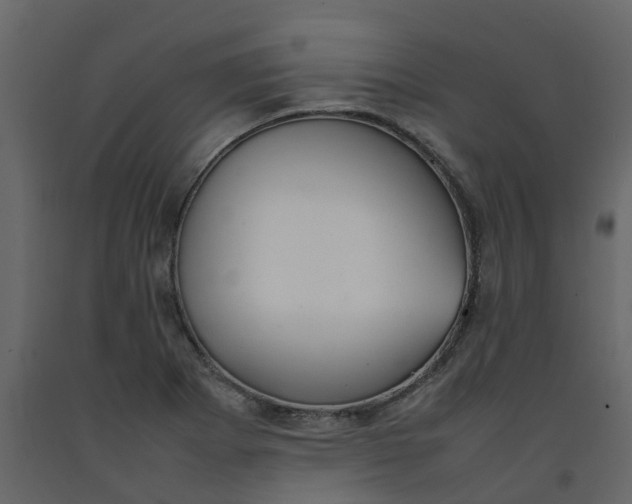 X0000092241273200710051231