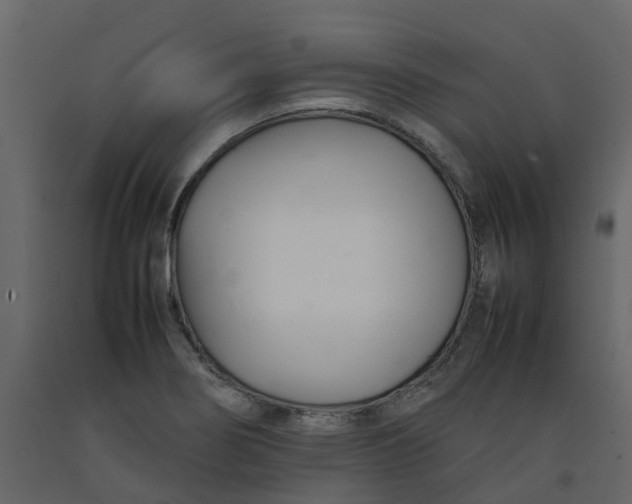 X0000092241274200710051231