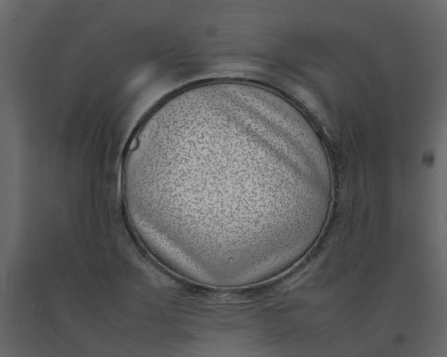 X0000092241275200710051231