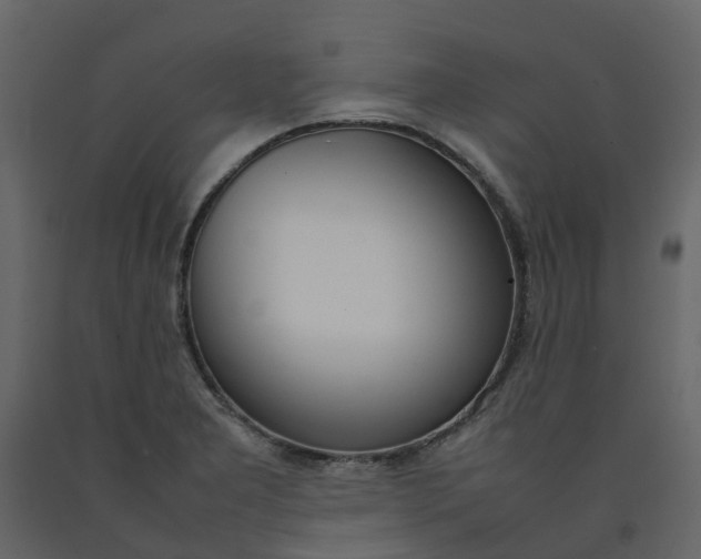 X0000092241277200710051231