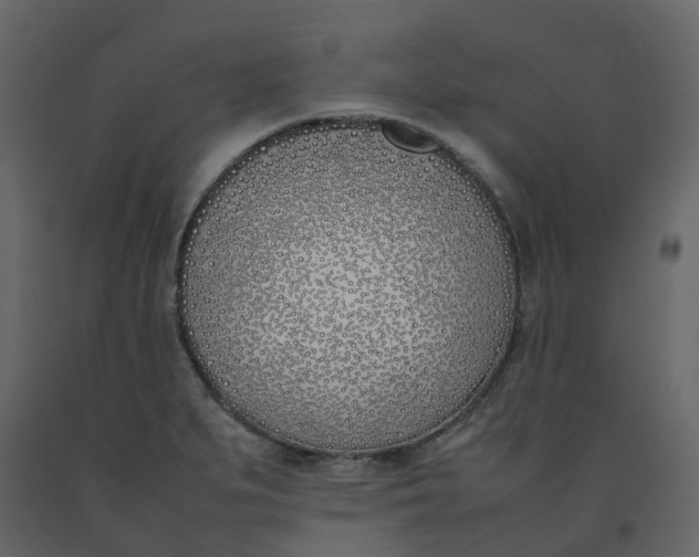 X0000092241279200710051231