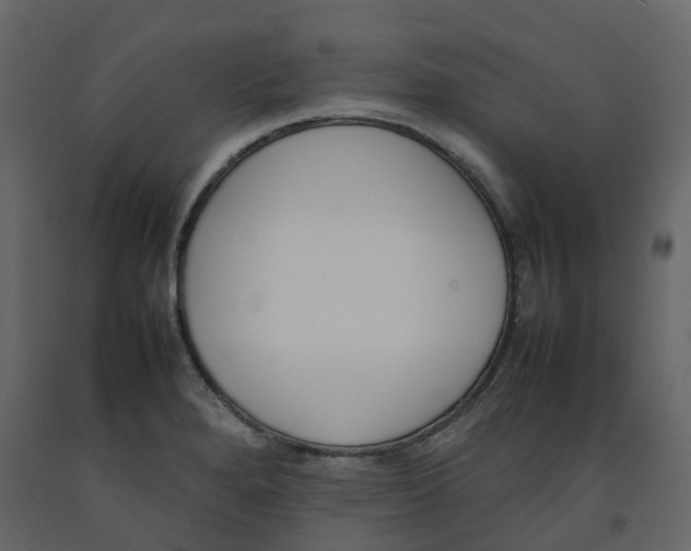 X0000092241280200710051231