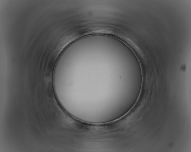 X0000092241281200710051231