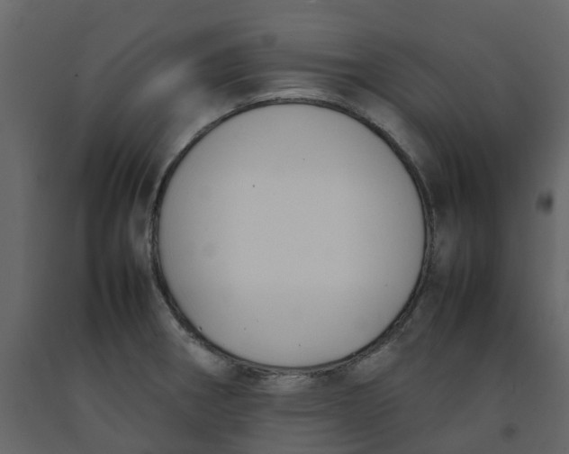 X0000092241282200710051231