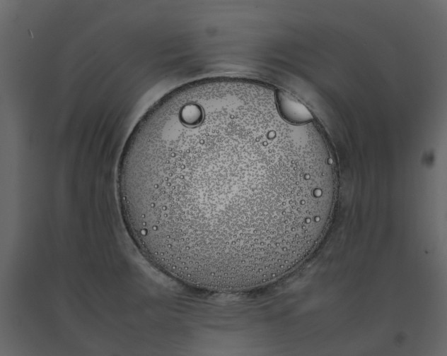 X0000092241283200710051231