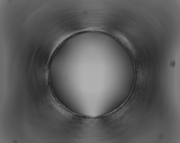 X0000092241284200710051231