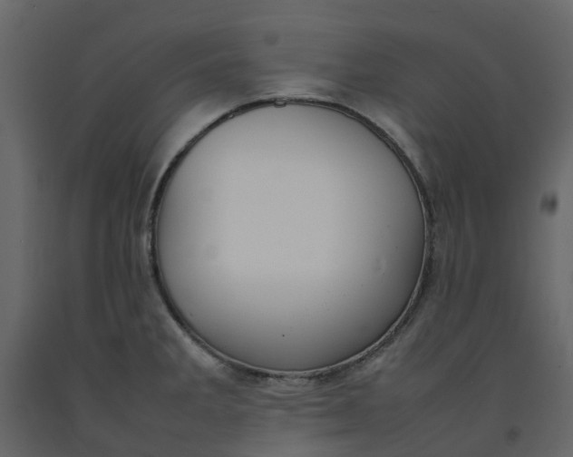 X0000092241285200710051231