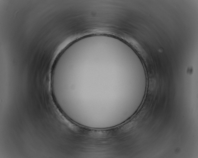 X0000092241286200710051231