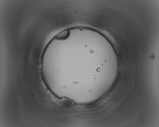 X0000092241287200710051231