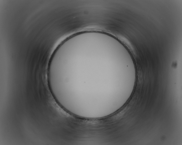 X0000092241288200710051231