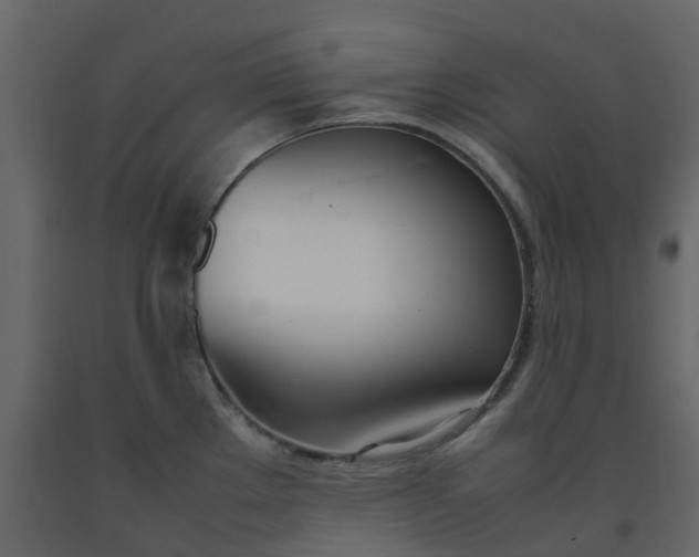 X0000092241289200710051231