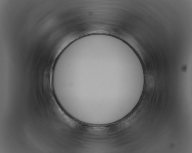 X0000092241290200710051231