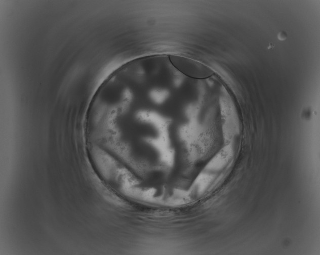 X0000092241291200710051231