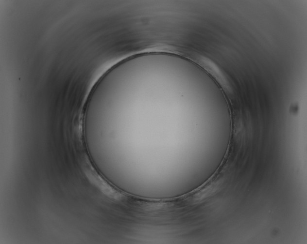 X0000092241292200710051231