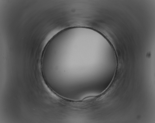 X0000092241293200710051231