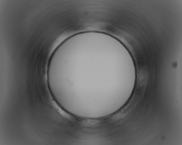 X0000092241294200710051231