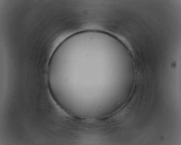 X0000092241295200710051231