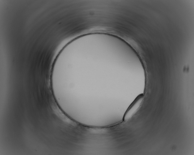 X0000092241296200710051231