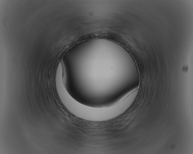 X0000092241298200710051231