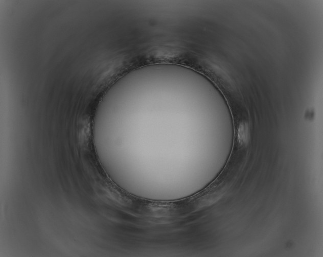 X0000092241299200710051231