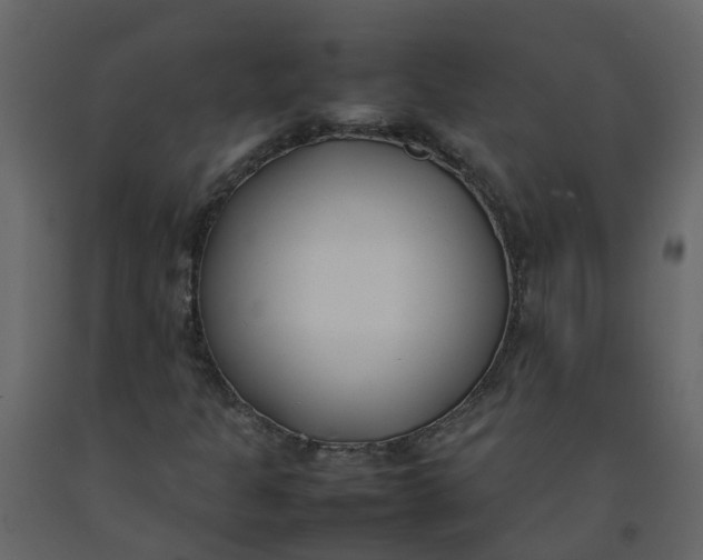 X0000092241301200710051231