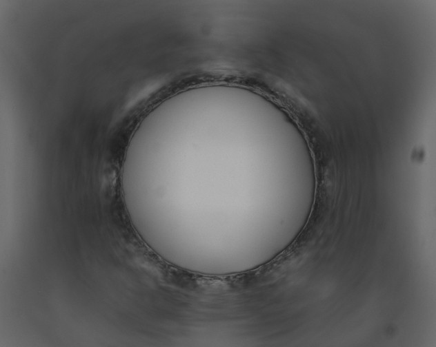 X0000092241302200710051231