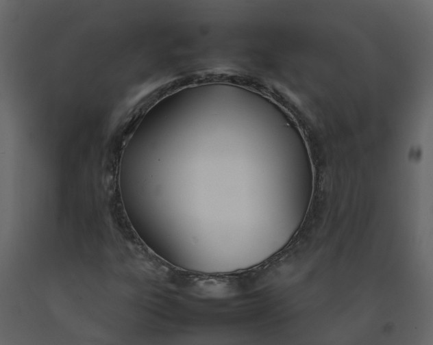 X0000092241303200710051231