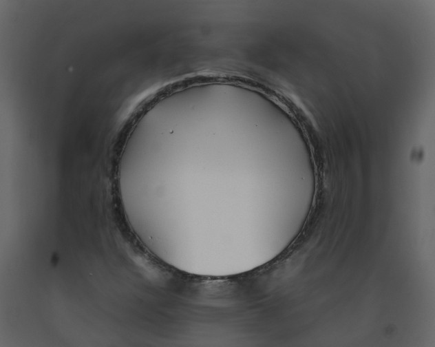 X0000092241304200710051231